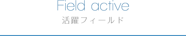 Field active 活躍フィールド